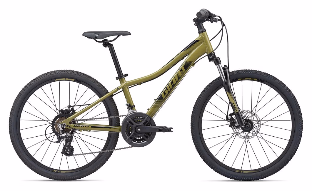 Bicicleta pentru copii Giant XtC Jr Disc 24