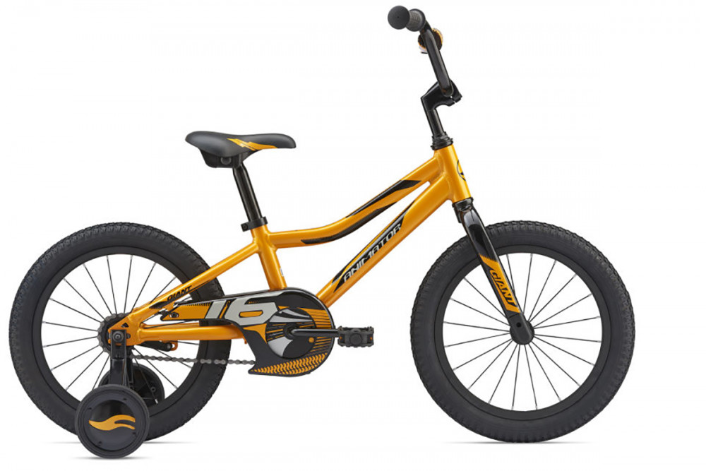 Bicicleta de munte Giant Animator C/B photo 