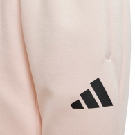 Брюки Adidas J Z.N.E. PT thumbnav 3