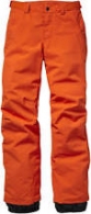 Pantaloni O Neill PB Anvil Pants thumbnav