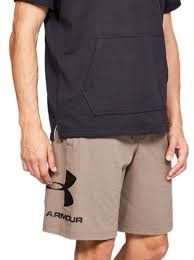 Sorti de bărbați Under Armour SPORTSTYLE COTTON GRAPHIC SHORT LG Maro photo 2