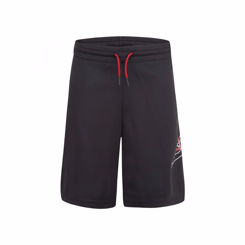 Шорты Nike JUMPMAN BIG AIR MESH SHORT