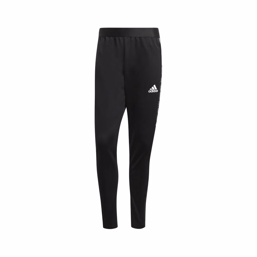 Брюки Adidas CON21 TR PNT