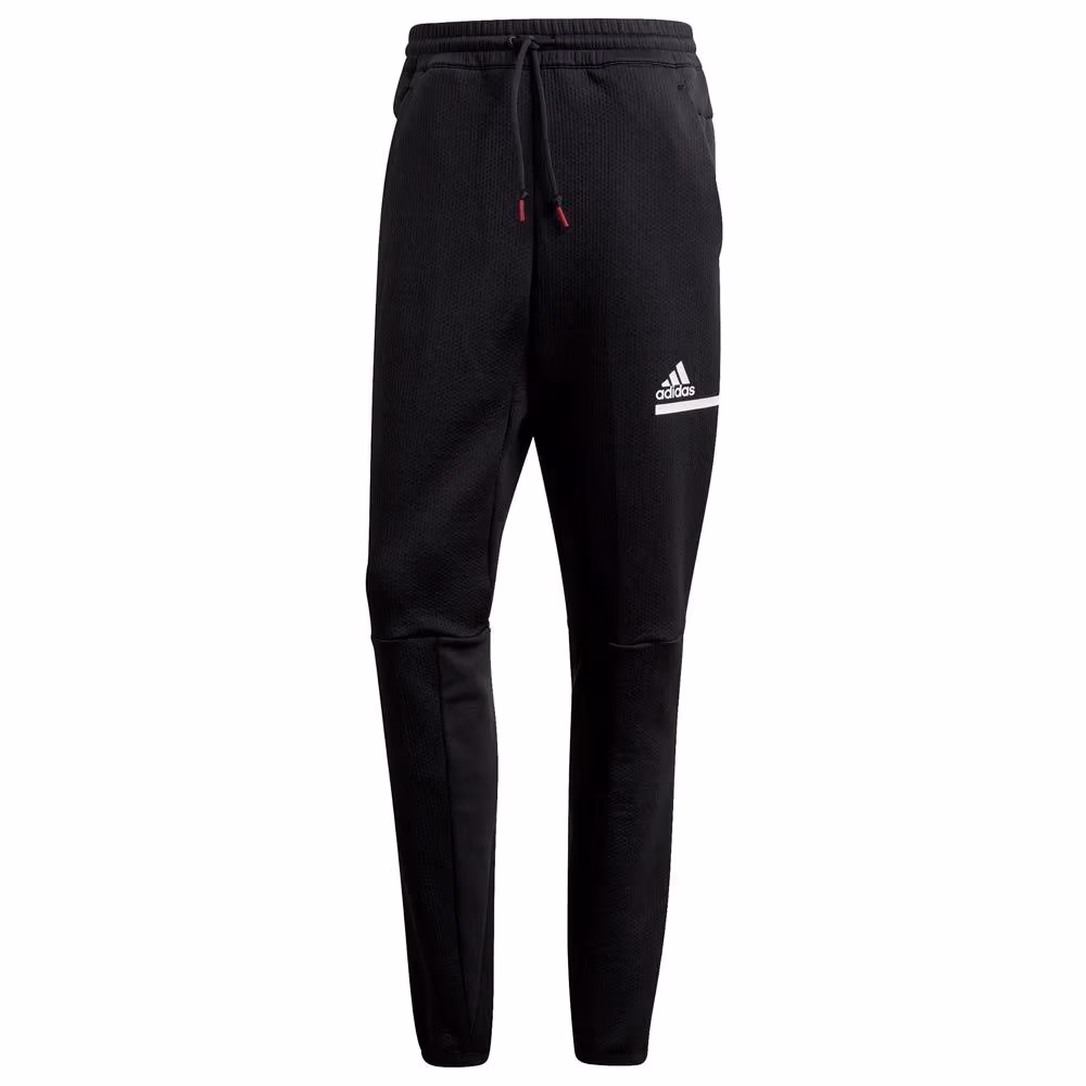 Брюки Adidas ZNE AERORDY Pnt