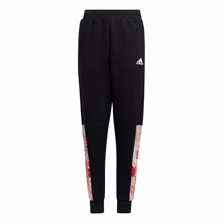 Брюки Adidas JK CNY PE PNT