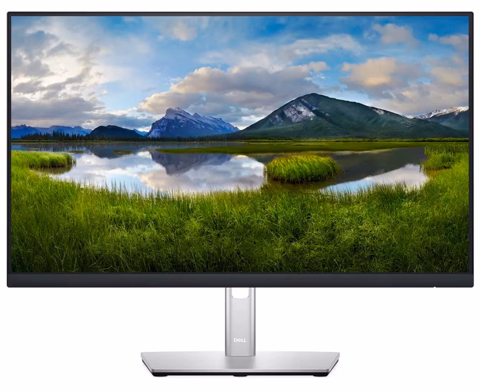 Monitor Dell P2422H