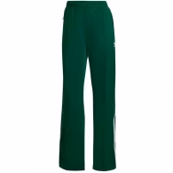 Брюки Adidas FIREBIRD TP PB