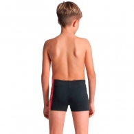 Slipi Arena PALETTE SWIM SHORT thumbnav 3