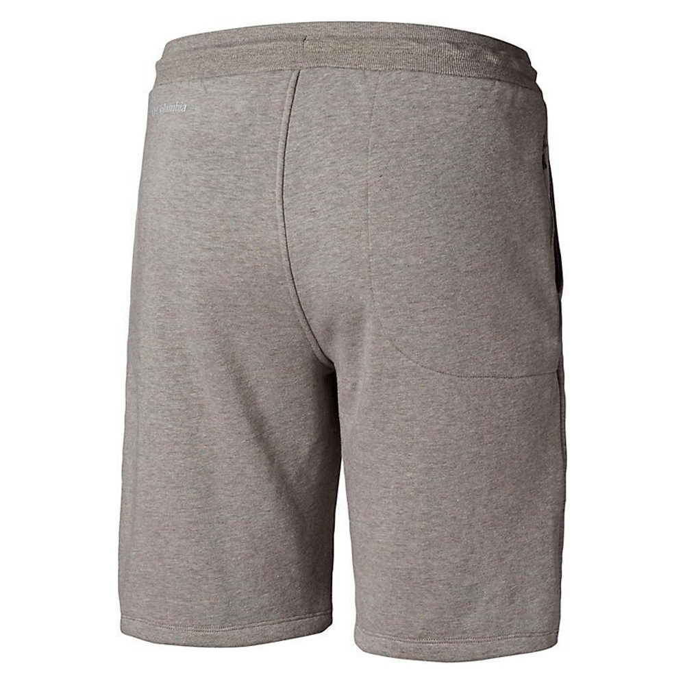 Sorti de bărbați Columbia CSC M Bugasweat Short S Gri photo 2