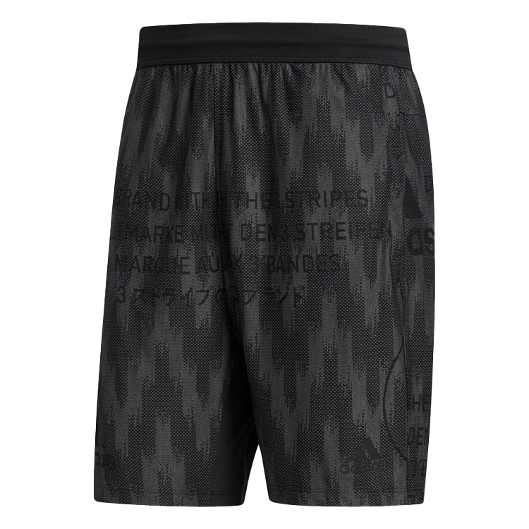 Sorti Adidas CITY KNIT SHORT photo Sorti Adidas CITY KNIT SHORT photo