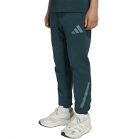 Брюки Adidas J Z.N.E. PT thumbnav