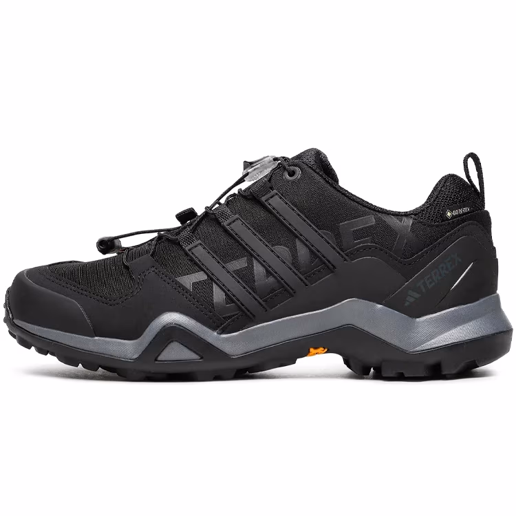 Incaltaminte Sport Adidas TERREX SWIFT R2 GTX