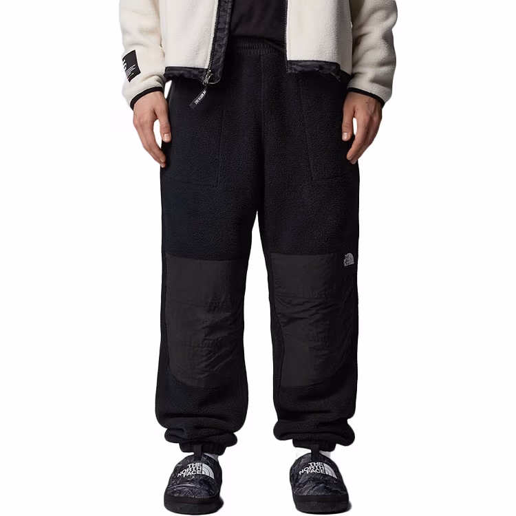 Брюки The North Face M RETRO DENALI PANT 