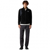 Hanorac The North Face M GLACIER FLEECE JACKET thumbnav 4