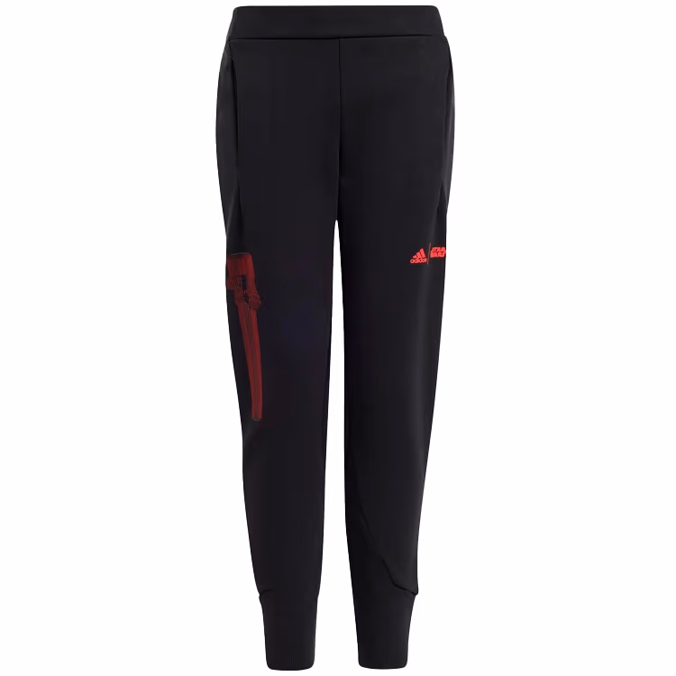 Брюки Adidas J SW ZNE PNT