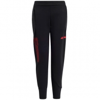 Брюки Adidas J SW ZNE PNT thumbnav 1
