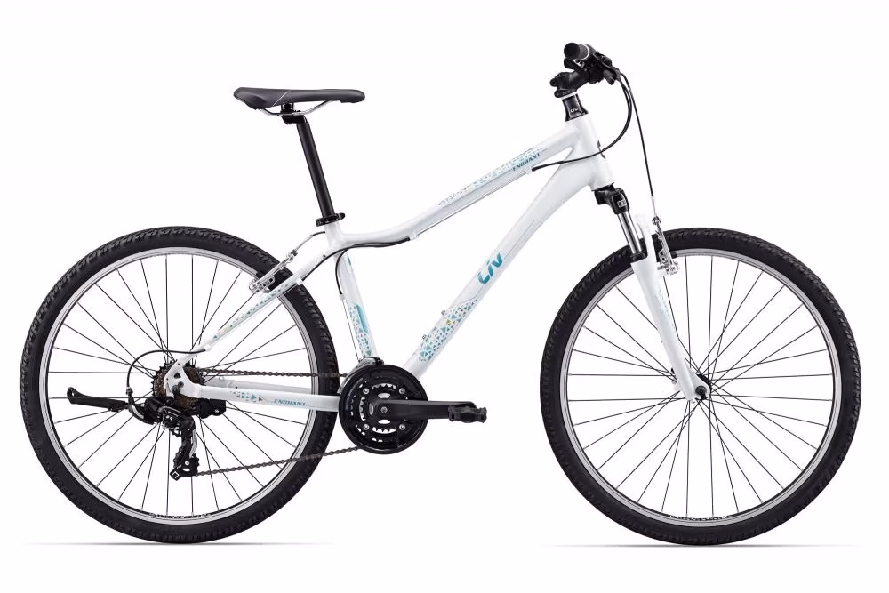 Bicicleta de oras Giant Enchant