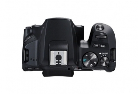 DSLR Camera CANON EOS 250D 18-55 IS STM Black (3454C007) thumbnav 4