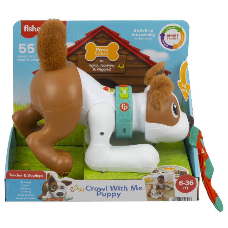 Mattel HHH95 Fisher Price Catel interactiv photo 1