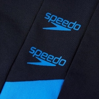 Плавки-шорты Speedo BOOM LOGO SPLICE ASHT AM thumbnav 5