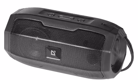 Boxa portabila Defender G36 (65036) Black