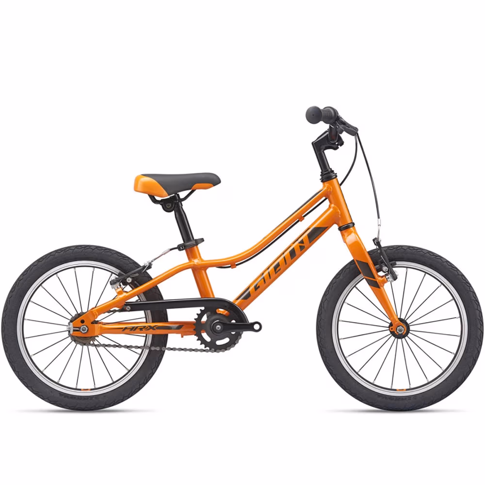 Bicicleta pentru copii Giant ARX F/W