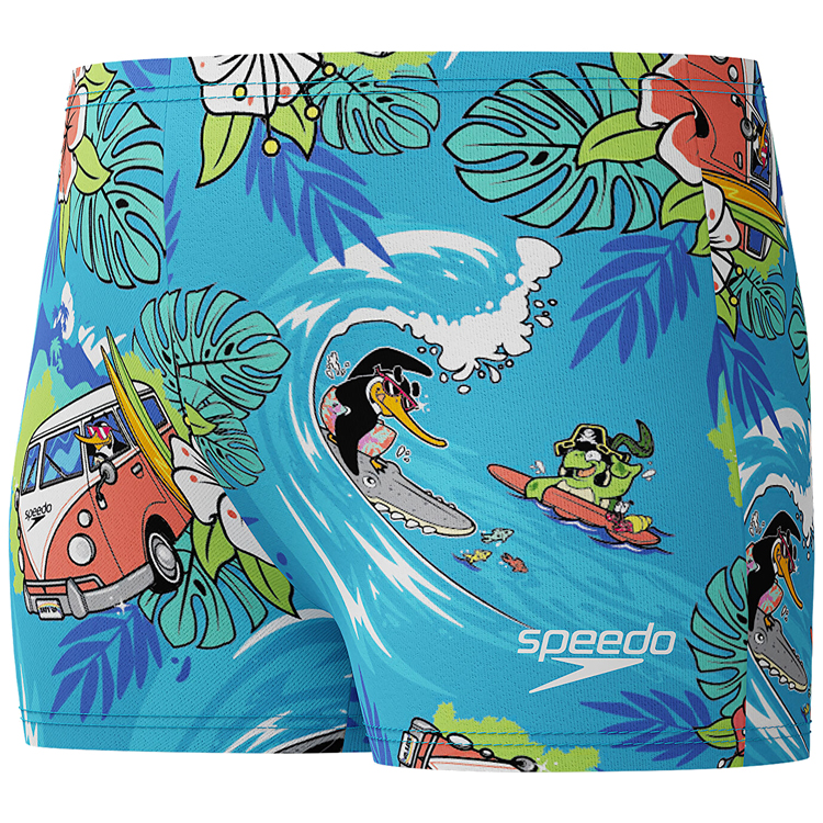 Плавки-шорты Speedo LTS ALV ASHT IM 5YRS Разноцветный Мужской photo 5