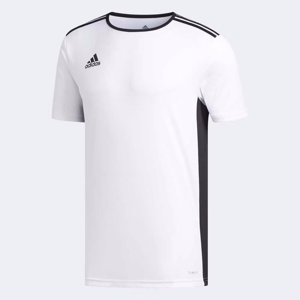  Adidas ENTRADA 18 JSY