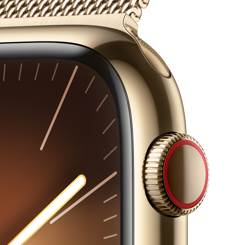 Smart watch Apple Watch Series 9 41mm Gold 1.69 photo 10