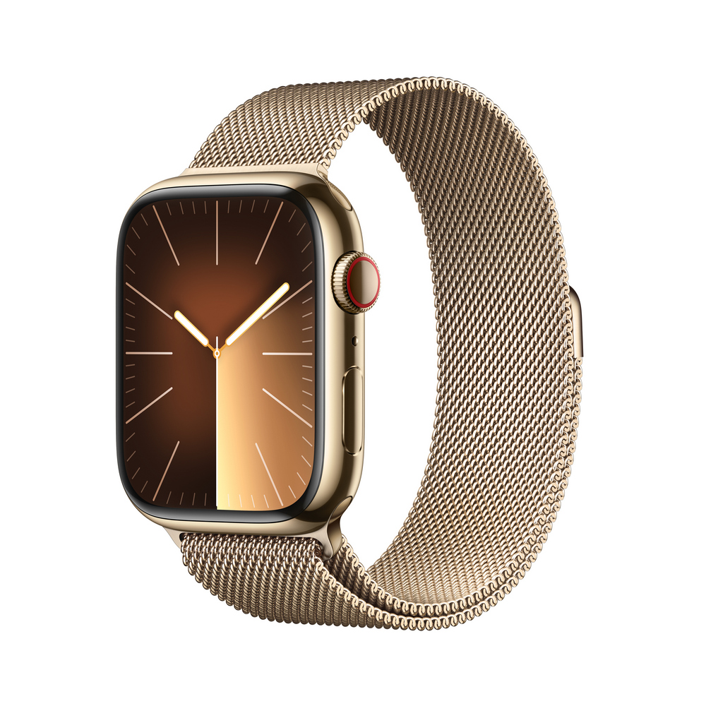 Smart watch Apple Watch Series 9 41mm Gold 1.69 photo 2