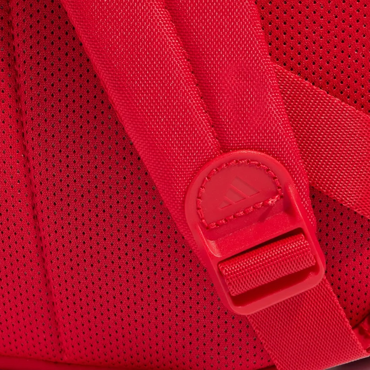 Рюкзак Adidas CLSC BARS 3S IS7043 Красный photo 5