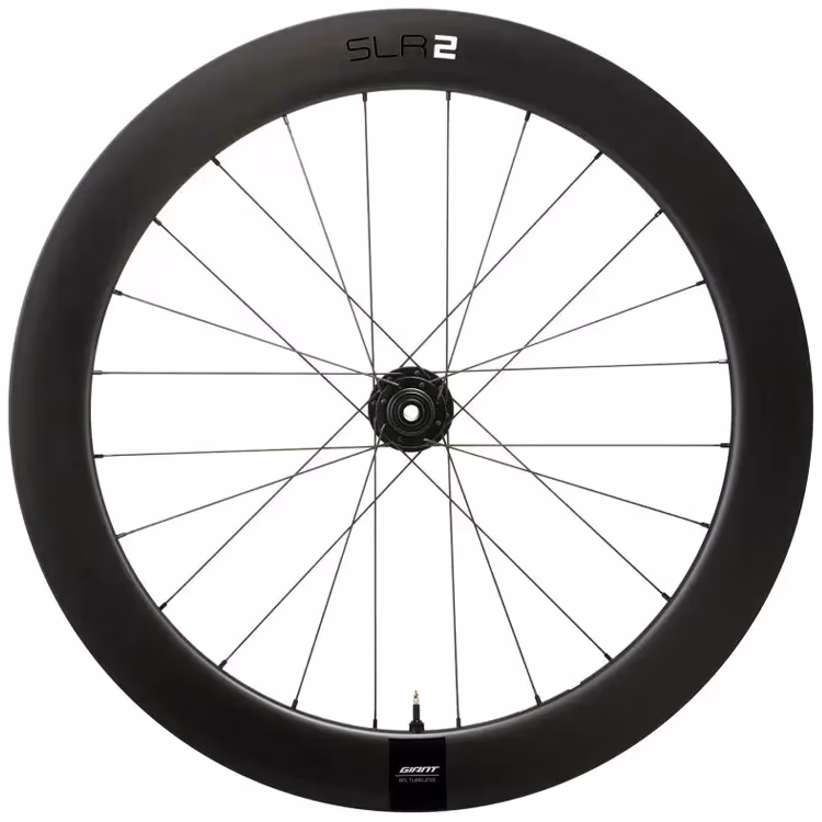 Janta Giant SLR 2 65 DB HOOKLESS FW