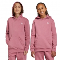 Толстовка Adidas HOODIE thumbnav 2