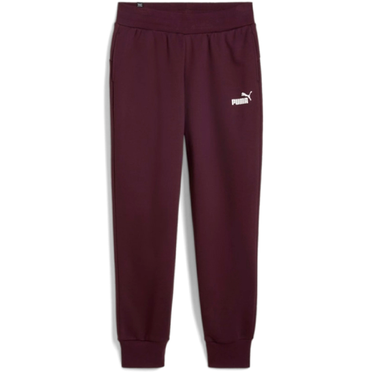 Брюки Puma ESS Sweatpants FL cl photo 