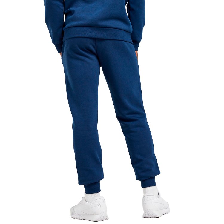 Брюки Puma Key Graphic Pants FL S Синий Мужской photo 5