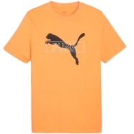 Tricou Puma DESERT ROAD Graphic Tee thumbnav