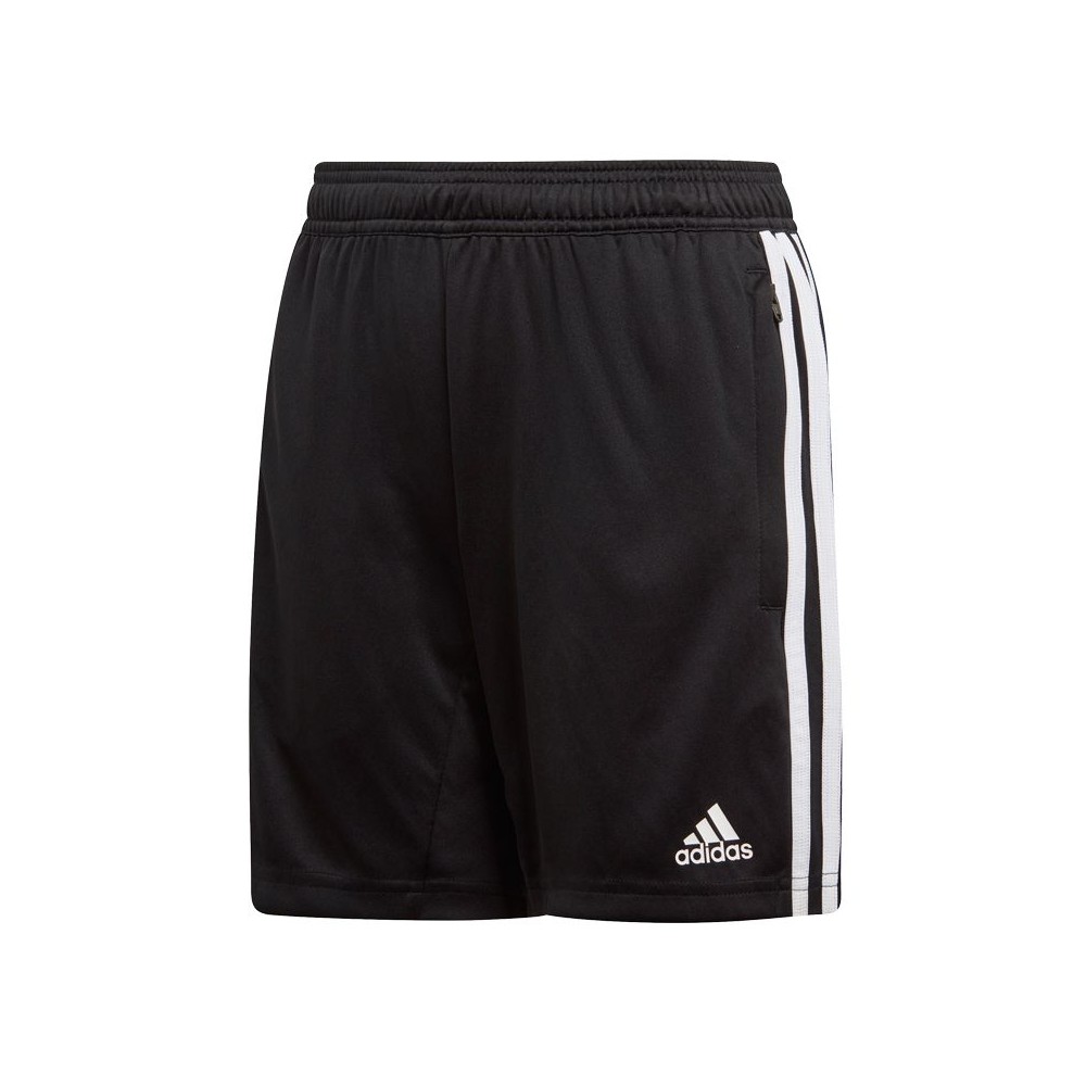Sorti Adidas TIRO19 TR SHOY photo Sorti Adidas TIRO19 TR SHOY photo