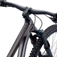 Велосипед горный Giant Reign 29 L Metal thumbnav 3