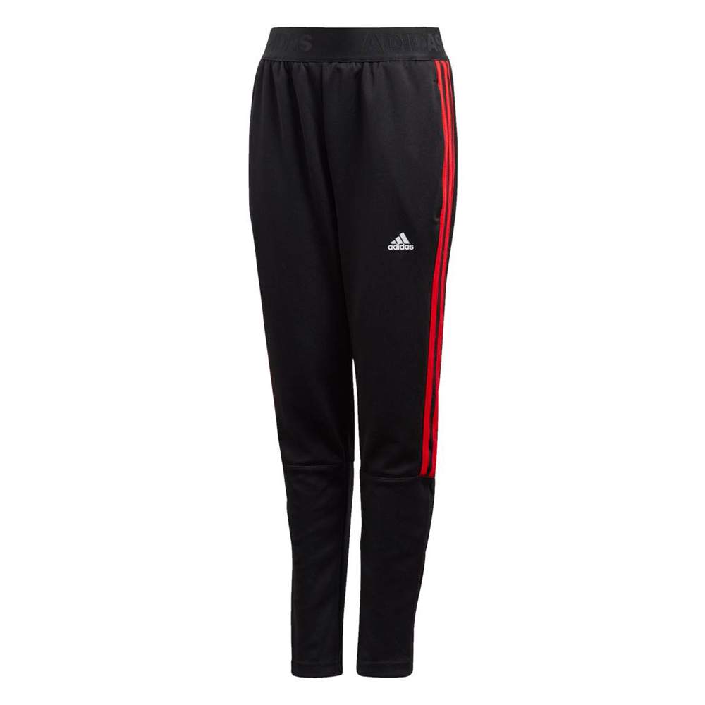 Брюки Adidas FL2747 photo 