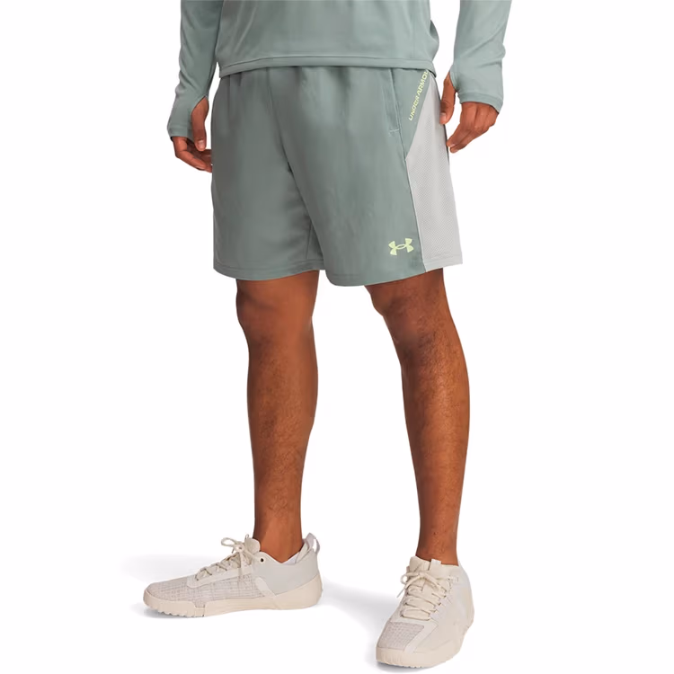 Шорты Under Armour UA Tech Utility Shorts