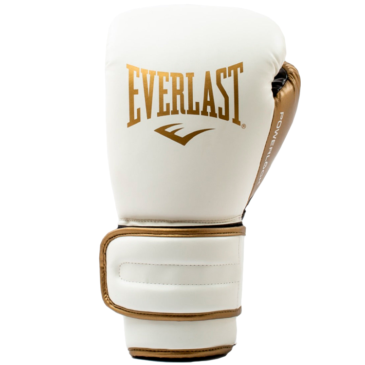 Перчатки для бокса Everlast Powerlock photo 2