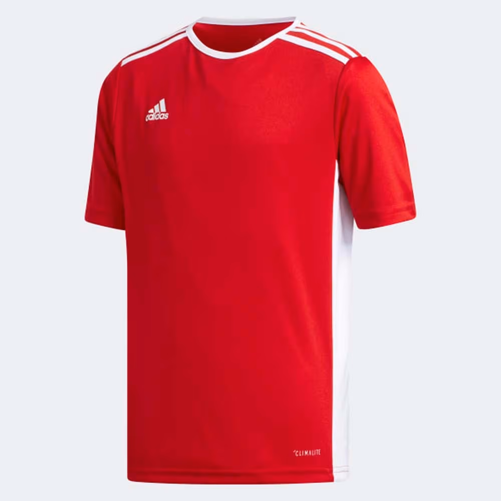 Tricou Adidas ENTRADA 18 JSYY