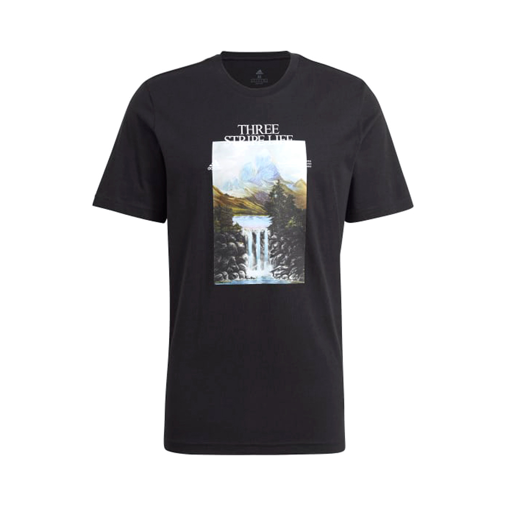 Футболка мужская Adidas MOUNTAIN TEE M S photo 1