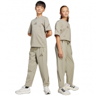 Брюки Adidas J Z.N.E WV PANT thumbnav