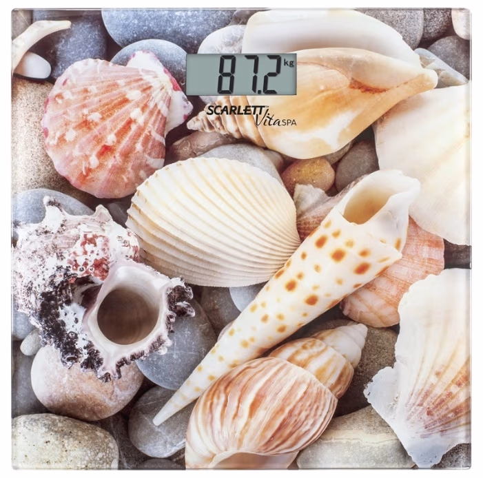 Cintar de podea Scarlett SCBS33E054