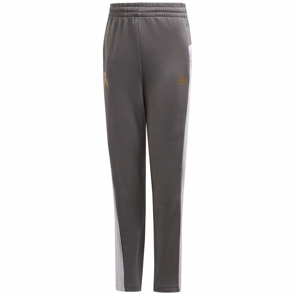 Брюки Adidas B A.R. X PANT