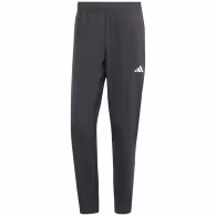 Брюки Adidas TR-ES WOVEN PT
