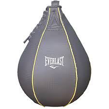 Para box Everlast Everhide photo Para box Everlast Everhide photo