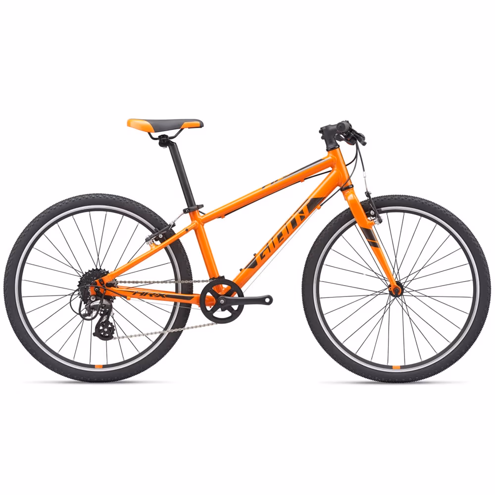 Bicicleta pentru copii Giant ARX