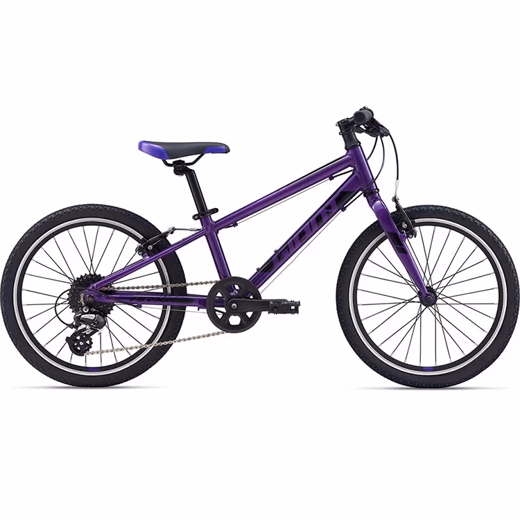 Bicicleta pentru copii Giant ARX